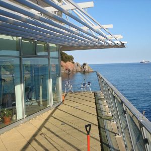 View from balcony at Living Coasts