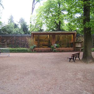 Old Orang-utan House