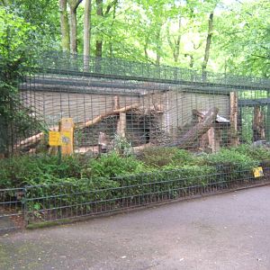View of some of the Small Cat cages