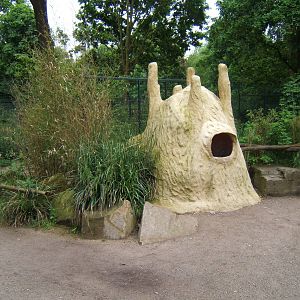 Bat-eared Fox viewing