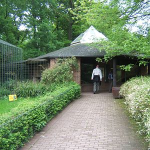 View of Jaguar House