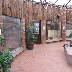 View inside the Anteater House