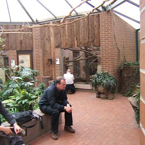 Is this a record for the most number of zoochatters in one photo