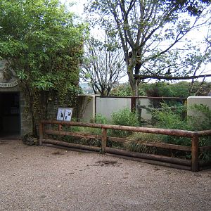 View of Red Panda enclosure
