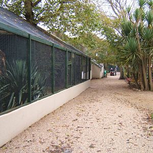 View of Aviarys outside the walled gardens