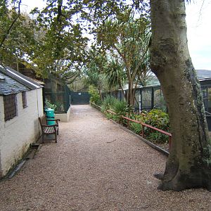 View of Aviarys outside the walled gardens
