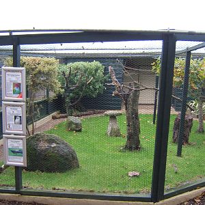 View of Aviary