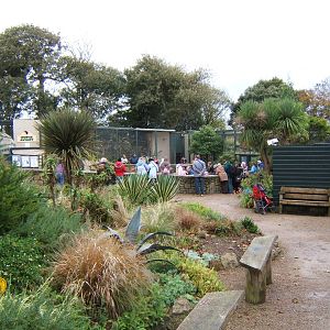 View towards Penguin enclosure in walled garden