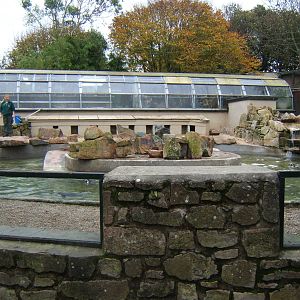 View of Penguin enclosure