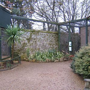 View of Aviarys inside walk-in Australian Aviarys