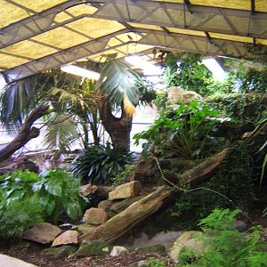 View inside free flight Aviary in Tropical House
