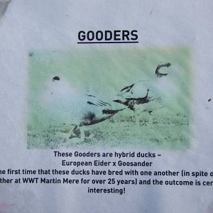 Sign for Gooders