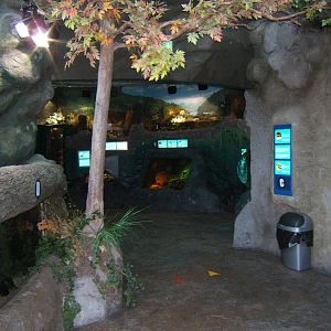 View first few tanks