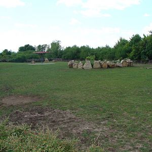 Bison Plains