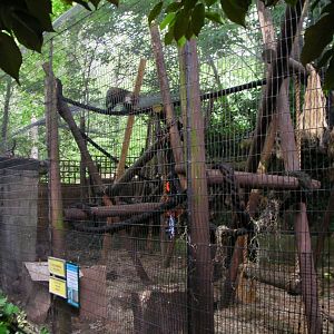 Capuchin cage
