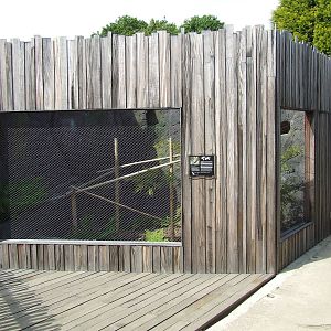 Owston's Palm Civet exhibit, Rare Species Conservation Centre, Sandwich