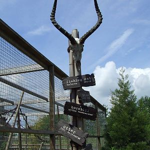 Detail, Rare Species Conservation Centre, Sandwich