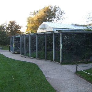 View of Aviarys outside Forest House