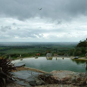 Penguin Pool at Whipsnade 20/06/09