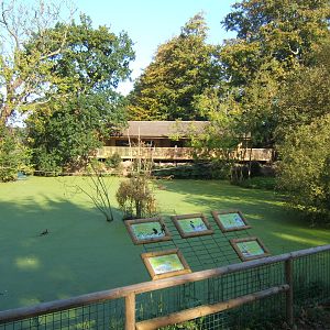View across to the Main Building