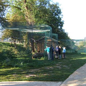 View of Bird Aviarys