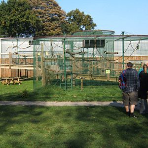 View of Tropical House from the outside