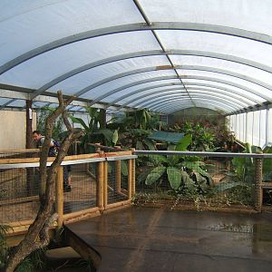 View inside Tropical House