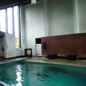 Indoor sealion pool at Whipsnade 20/06/09