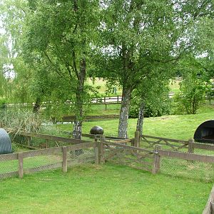 Pygmy Hippo paddocks at Whipsnade 20/06/09