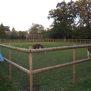 Lenwade Zoological Gardens(Now closed)