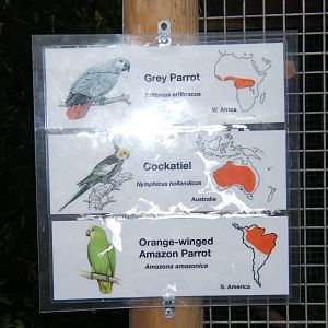 Lenwade Zoological Gardens(Now closed)