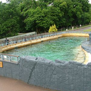 Sealion pool at Woburn 20/06/09