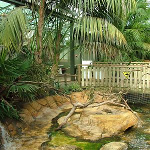 Lorikeet feeding house at Woburn 20/06/09