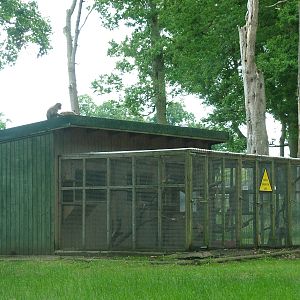 Drill housing at Woburn 20/06/09