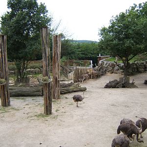 View of Giraffe/Ostrich enclosure