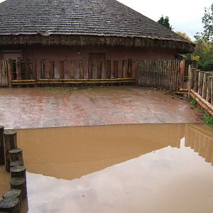 Tsavo flood
