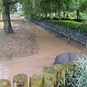 Flood on Asian Plains