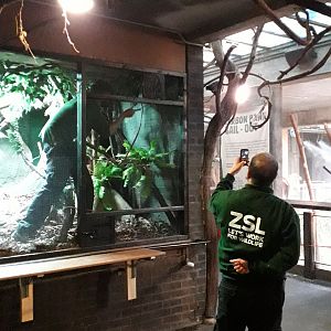 Target training in the Clore 4 December 2019