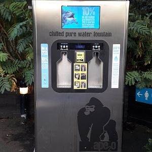 Water fountain 4 December 2019