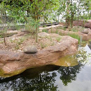 New platypus exhibit