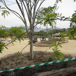 Savanna construction