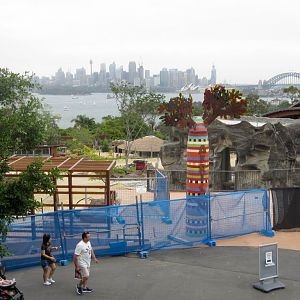 Savanna construction