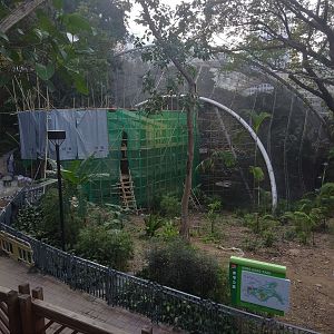 Entrance Renovations