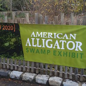 Future alligator exhibit signage