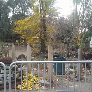 Alligator exhibit construction