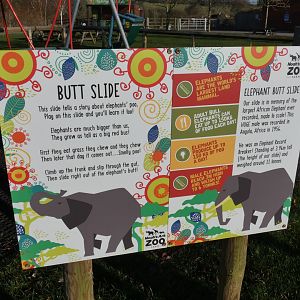 Elephant slide signage