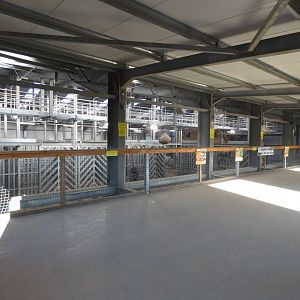 Upper African Elephant viewing area