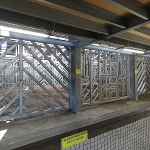 Lower African Elephant viewing area