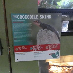 Crocodile Skink Signage