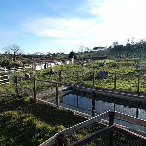 'Viva South America' Outdoors